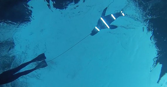 Odpowiednie oświetlenie może chronić surferów przed atakami rekinów. Piszą o tym naukowcy z Uniwersytetu Macquarie w Sydney na łamach czasopisma "Current Biology". Z pomocą względnie prostej metody można na tyle zaburzyć system wzrokowy żarłaczy białych, że tracą one ochotę do atakowania obiektów przypominających foki. Autorzy pracy przekonują, że ich odkrycie może posłużyć do rozwoju nowej, nieinwazyjnej technologii odstraszania rekinów w celu ochrony życia ludzkiego. Jak się uważa, większość ataków na ludzi jest wynikiem pomyłki. 