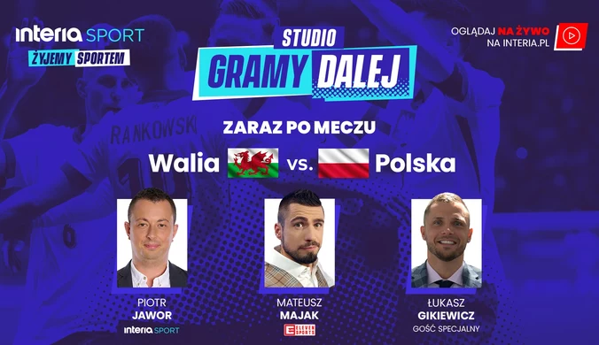 "Gramy dalej". Po meczu Walia – Polska. WIDEO