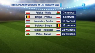 Reprezentacja Polski w piłce nożnej w 2022 roku - prognoza. WIDEO