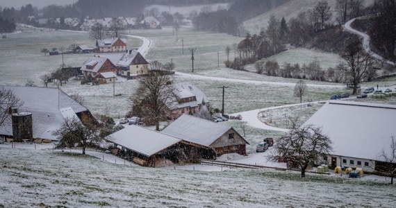 Pierwszy śnieg spadł w rejonie Zakopanego. Dziś rano na ulicach Bukowiny Tatrzańskiej można było zobaczyć biały puch. Apelujemy do kierowców o zachowanie ostrożności.