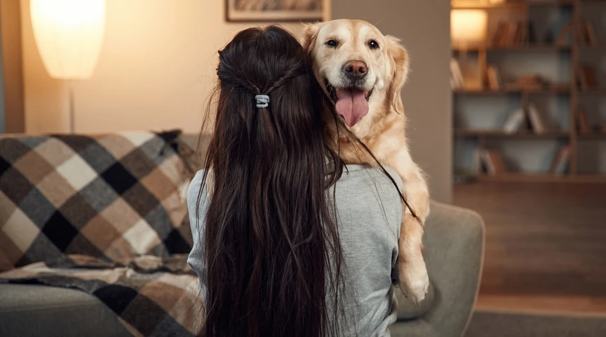 Nastąpiła zmiana pokoleniowa w postrzeganiu relacji właścicieli psów z pupilami - wynika z badań węgierskich naukowców. Okazuje się, że młodsze osoby tworzą silniejsze więzi emocjonalne ze swoimi czworonogami, niż wcześniejsze pokolenia. Zdecydowana większość osób, które dzielą życie z psem, uważa go za integralnego członka rodziny.