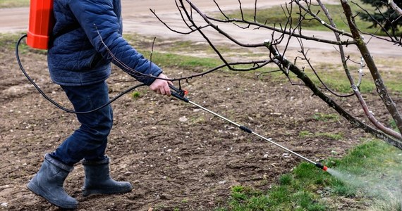 Na polecenie Głównego Inspektora Ochrony Roślin i Nasiennictwa rozpoczęły się kontrole sprzedaży przez internet środków ochrony roślin. To następstwo serii zgonów małych dzieci po zatruciu - jak się podejrzewa - toksycznymi środkami służącymi do zwalczania gryzoni. Główny Inspektor Andrzej Chodkowski podkreślał w rozmowie w internetowym Radiu RMF24, że obowiązujące obecnie przepisy nie nadążają za rzeczywistością.