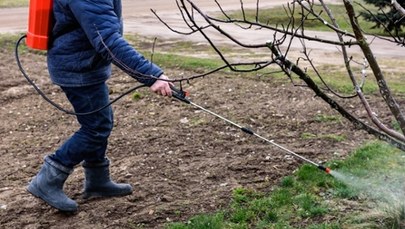 Czarna seria zatruć środkami do zwalczania gryzoni. Będzie zmiana przepisów