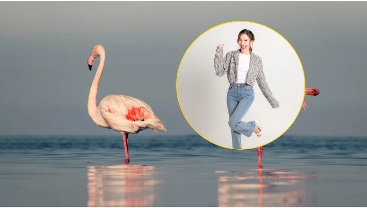 Czy masz szansę długo żyć? Można to prosto sprawdzić, stając na jednej nodze. Naukowcy przekonują, że tzw. test flaminga jest dobrym narzędziem diagnostycznym i pokazuje, czy i jak nasz organizm się starzeje.