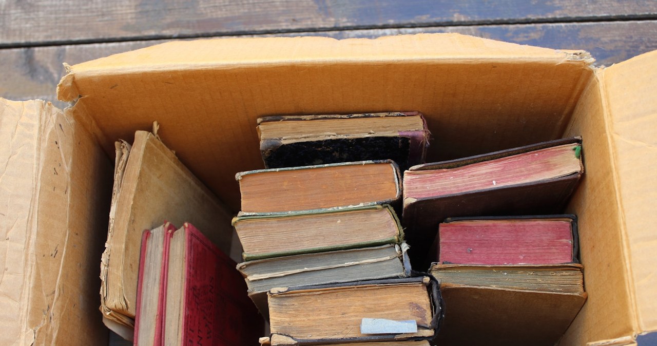 Sprzedaż starych książek. Tyle płacą antykwariaty i punkty z makulaturą