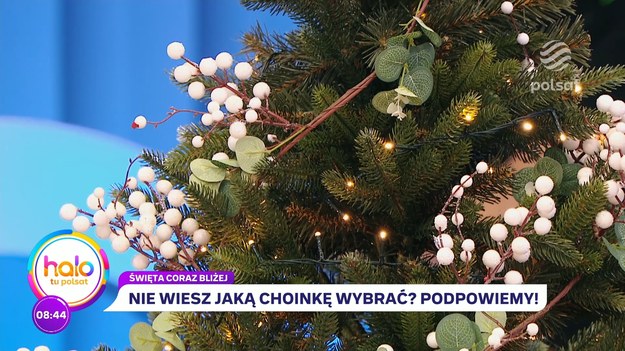 Wybór choinki to czasami nie lada wyzwanie. Z pomocą przyszła nasza ekspertka. Kasia Joda dokonała dziś w ''halo tu polsat'' przeglądu sztucznych choinek. Ekspertka wyjaśniła, z czego są robione, czym się różnią oraz jakie drzewo powinniśmy wybrać.