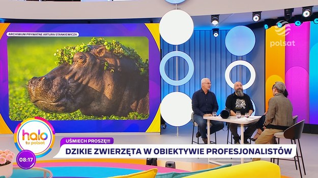 Gośćmi “halo tu polsat” byli dr Artur Stankiewicz, geolog, przyrodnik oraz fotograf przyrody, a także dr Mikołaj Golachowski, przyrodnik, biolog i polarnik. Panowie opowiedzieli o tym, jak trudną sztuką bywa fotografowanie zwierząt, ile trzeba czekać na idealne ujęcie, a także poruszyli kwestię konkursu na... najzabawniejsze zdjęcie, który ma za zadanie pomóc naszym mniejszym braciom.