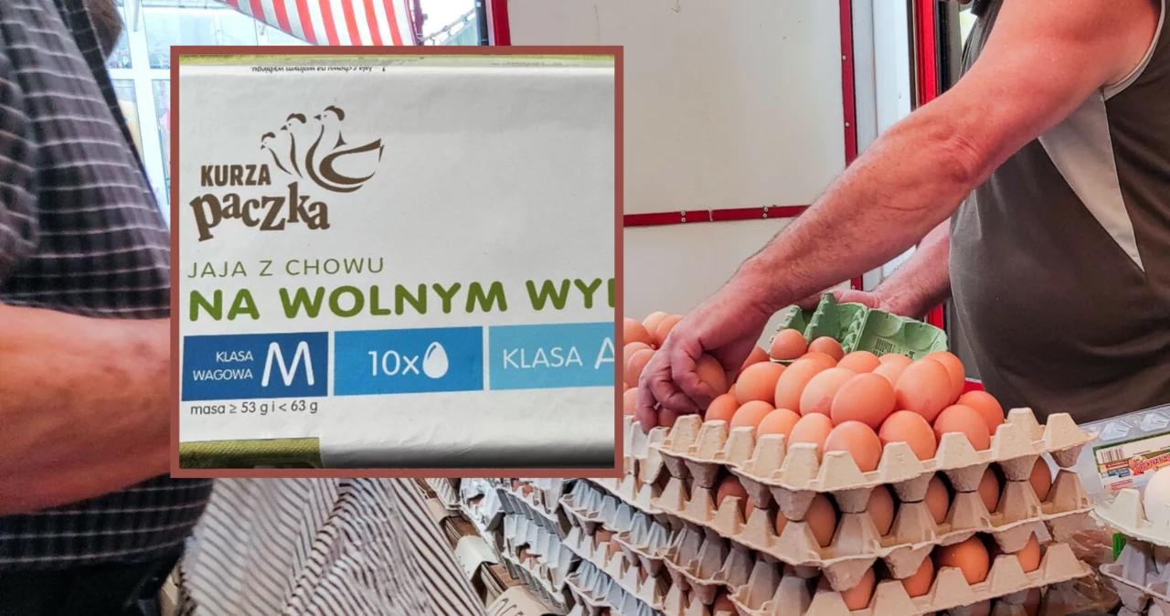 Kurze jajka pod lupą Państwowej Inspekcji Sanitarnej. Wykryto salmonellę 