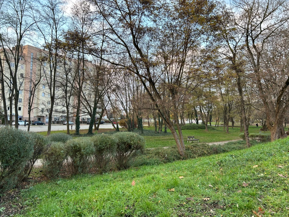 Zostawcie nasz Eko Park! Nie dla wycinki pod ulicę "nowo-Gierdziejewskiego" - pod takim hasłem mieszkańcy warszawskiego Ursusa zbierają podpisy pod petycją. Władze miasta planują wycinkę 200 drzew i likwidację jednego hektara istniejącego parku pod plany budowy drogi, która zdaniem mieszkańców, nie ma sensu.