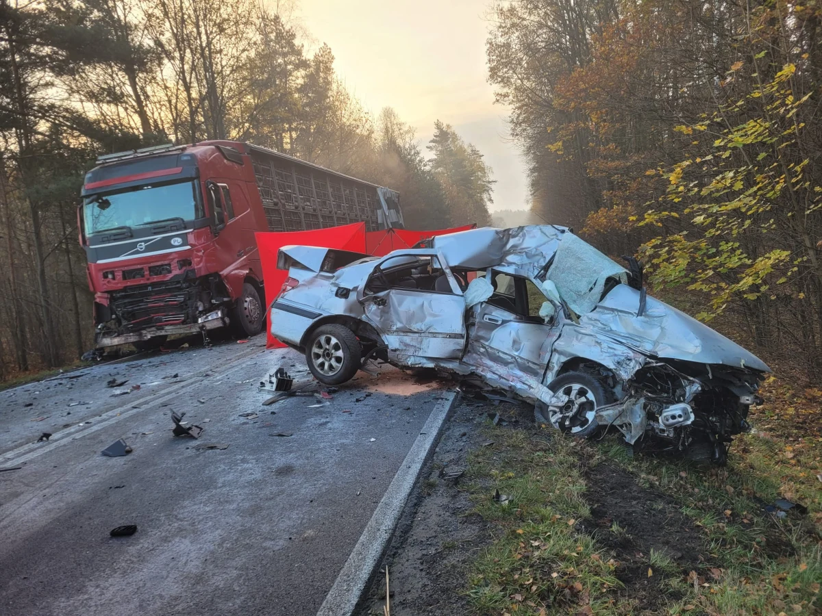 Do śmiertelnego wypadku na drodze wojewódzkiej nr 906 w Piasku niedaleko Lublińca w Śląskiem doszło w sobotę o poranku. Nie żyje jedna osoba. To już drugi dziś wypadek w tym województwie. Na A4 między Kleszczowem i Pławniowicami - według wstępnych ustaleń - od samochodu ciężarowego miała odczepić się naczepa, w którą wjechały dwa samochody osobowe.