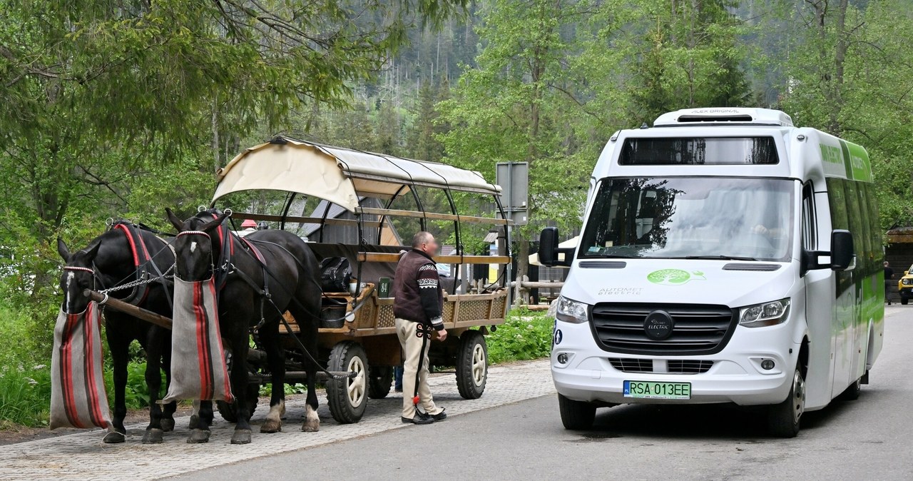 Wydawało, wszystko, jest, dobrej, drodze, zastąpić, zaprzężone, konie, fasiągi, elektrycznymi, pojazdami, Pojawiły, pierwsze, pr Konie dalej będą męczone na trasie do Morskiego Oka, bo to normalność