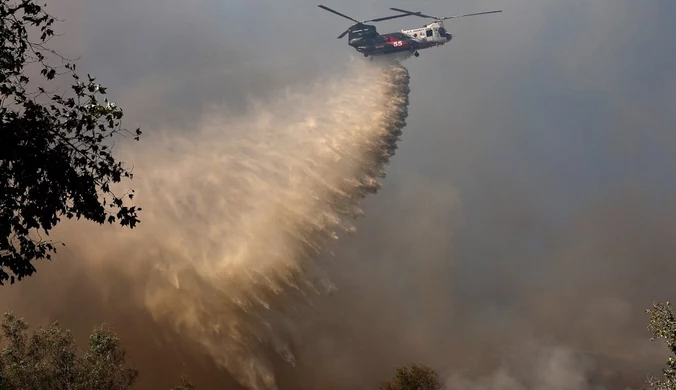 43 mln ludzi objętych alertem pożarowym. Dramatyczna sytuacja w USA