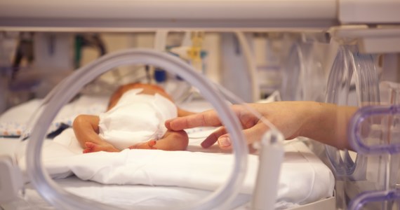 "Ratowanie wcześniaków to praca zespołowa, ale czasem potrzebny jest cud" – przyznała neonatolog z Uniwersyteckiego Szpitalu Klinicznego w Rzeszowie dr Małgorzata Stefańska. "Najmniejszy pacjent, któremu pomogliśmy, ważył 450 gramów" – dodała lekarka. Dziś przypada Światowy Dzień Wcześniaka.