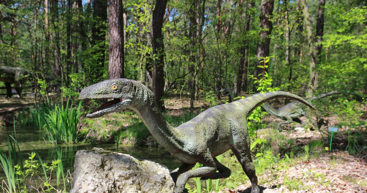 Kość sprzed 225 mln lat burzy teorię o początkach dinozaurów