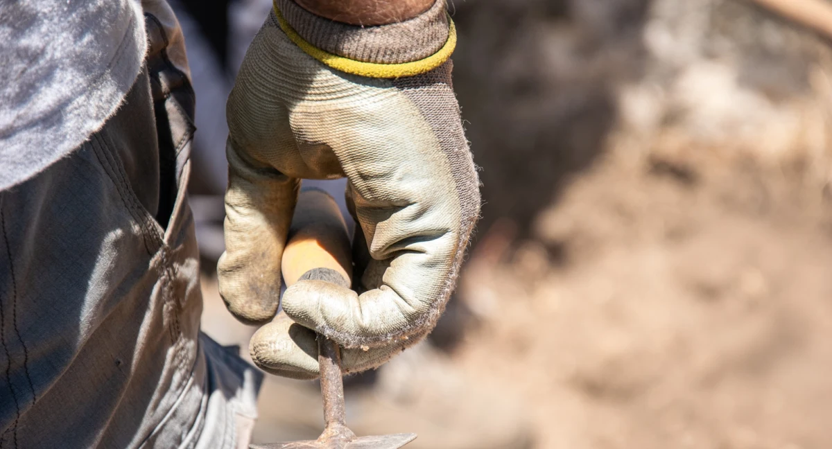 Nagie szkielety kilku osób odkopali badacze na terenie gospodarstwa w gminie Dębowa Kłoda w Lubelskiem. Archeolog sądowy ocenia, że mogą należeć do żołnierzy Korpusu Ochrony Pogranicza poległych w 1939 roku.