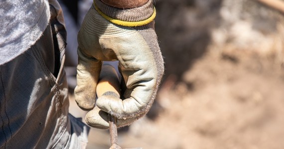 Nagie szkielety kilku osób odkopali badacze na terenie gospodarstwa w gminie Dębowa Kłoda w Lubelskiem. Archeolog sądowy ocenia, że mogą należeć do żołnierzy Korpusu Ochrony Pogranicza poległych w 1939 roku.