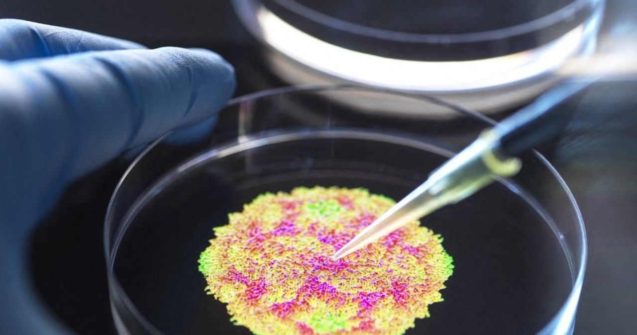 Może wywoływać u dzieci chorobę podobną do polio. Groźny wirus atakuje