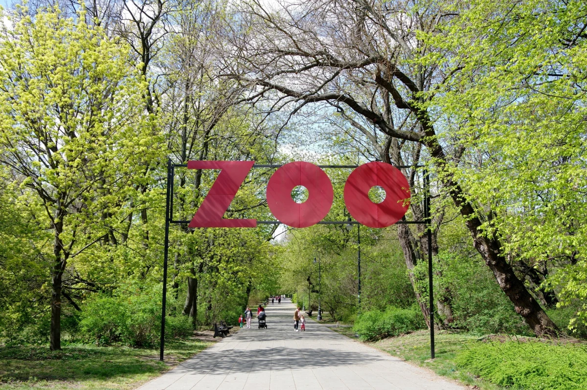 Stołeczny ogród zoologiczny rozpoczął mikołajkową zbiórkę prezentów dla zwierząt. Chętni mogą od dziś do 30 listopada przynosić prezenty. "Prosimy o czystość i fabryczne opakowanie produktów – to bardzo ważne dla zdrowia zwierząt" – przekazało zoo.