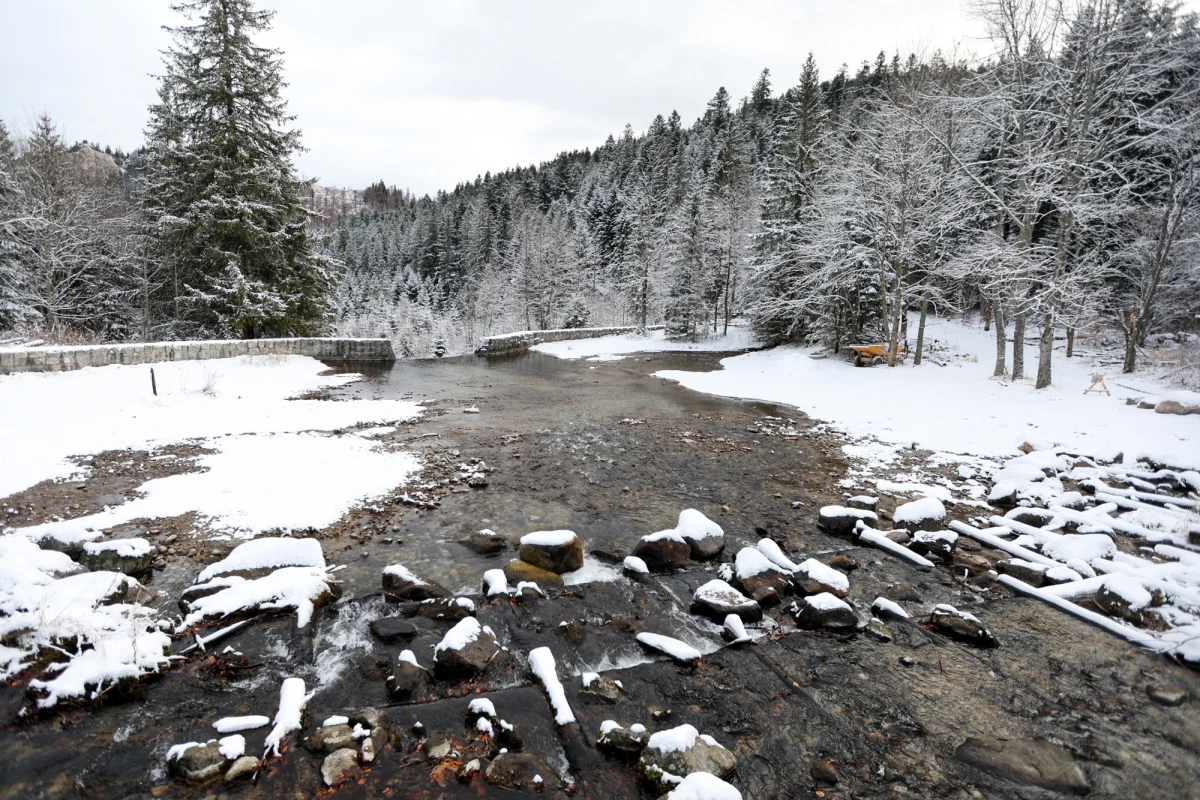 W Tatrach i na Podhalu przybywa śniegu. Na szczytach silny wiatr tworzy śnieżne zamiecie. Tatrzański Park Narodowy odradza wyjść w wyższe partie. W Zakopanem rano leżało kilka cm śniegu.