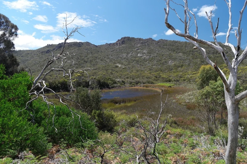 AI wymyśliła sobie atrakcję. Turyści tłumnie ruszyli w drogę