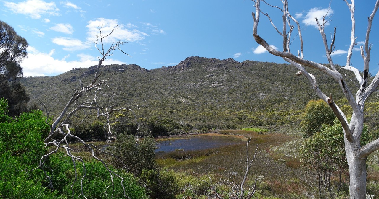 AI wymyśliła sobie atrakcję. Turyści tłumnie ruszyli w drogę