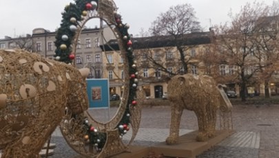 Kraków stroi się na święta