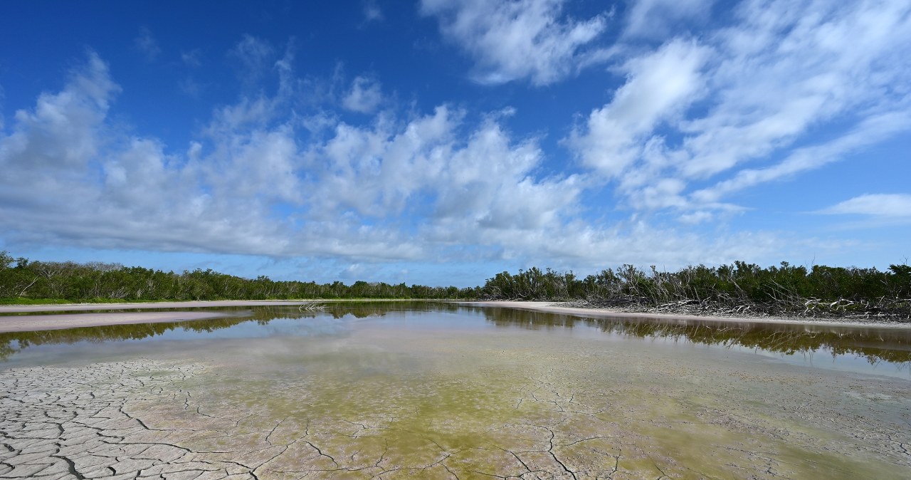 Konsekwencje wysychania zasobów wody w Europie. Zmiana jest faktem