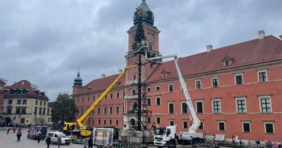 Na Placu Zamkowym w Warszawie trwa budowa świątecznego drzewka. 27-metrowa choinka zabłyśnie już na początku grudnia i stworzy w stolicy świąteczną atmosferę. To za sprawą aż 40 tysięcy lampek, które na niej się znajdą.