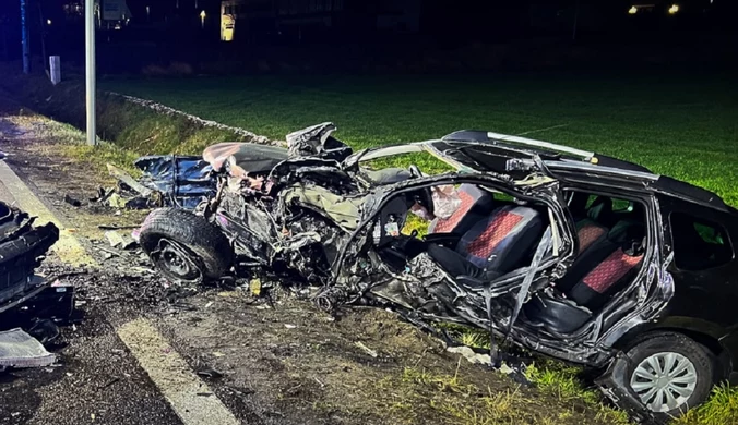 Tragiczna noc na drogach w Wielkopolsce. Nie żyją trzy osoby 