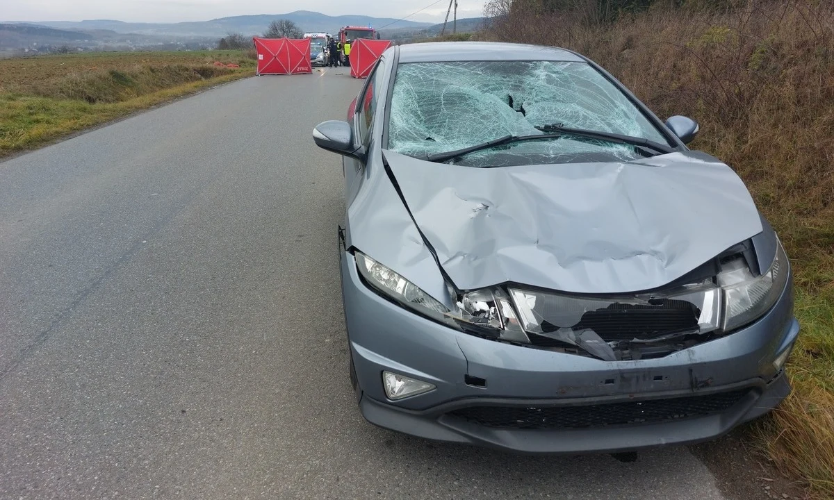 Tragedia na podkarpackiej drodze. W pobliżu miejscowości Lublica 65-letni mężczyzna potrącił samochodem osobowym dwie kobiety. Obie zginęły na miejscu.