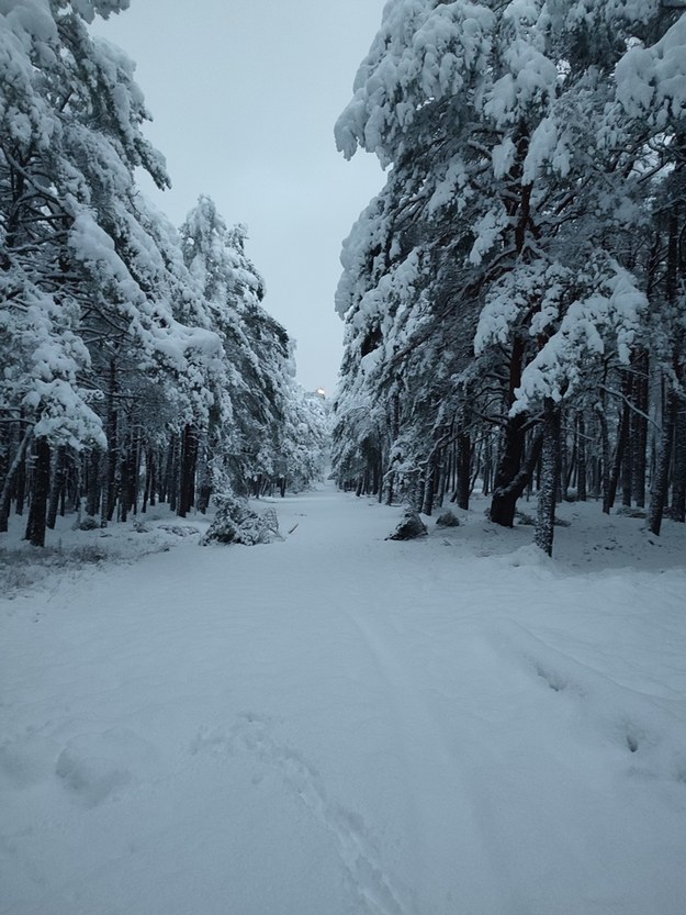 /fot. Maria Machura, Słowiński Park Narodowy /Facebook