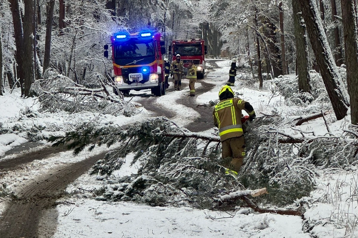 Od dziś do niedzieli włącznie z uwagi na warunki atmosferyczne obowiązuje zakaz wejścia na szlaki turystyczne i ścieżki przyrodnicze Słowińskiego Parku Narodowego, a także zakaz korzystania z łowisk wędkarskich. "Konary lecą nam na głowę" - mówi Sebastian Kluska, strażak z OSP Łeba, który dziś pracuje w parku.