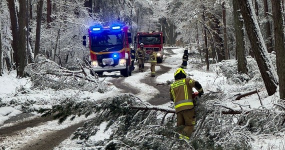 Od dziś do niedzieli włącznie z uwagi na warunki atmosferyczne obowiązuje zakaz wejścia na szlaki turystyczne i ścieżki przyrodnicze Słowińskiego Parku Narodowego, a także zakaz korzystania z łowisk wędkarskich. "Konary lecą nam na głowę" - mówi Sebastian Kluska, strażak z OSP Łeba, który dziś pracuje w parku.