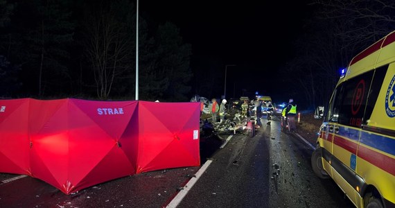 Zablokowana jest droga krajowa nr 10 w Przyłubiu w woj. kujawsko-pomorskim, gdzie zderzyły się trzy samochody osobowe. Zginęły dwie osoby, a jedna została ranna - poinformowała w sobotę wieczorem dyżurna Oddziału GDDKIA w Bydgoszczy Arleta Morgut.