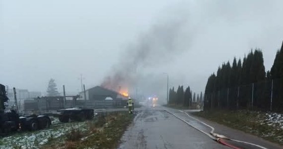 100 strażaków walczy z pożarem zakładu spawalniczego w Lubieszynie niedaleko Kościerzyny w Pomorskiem. Konieczna była ewakuacja 10 osób z pobliskich domów.