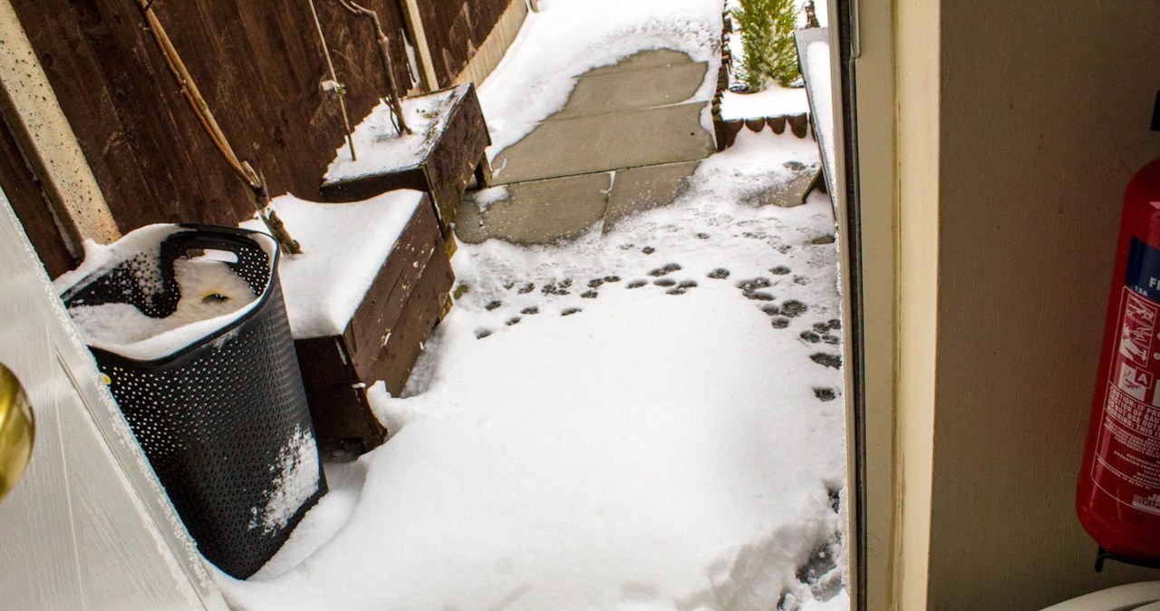 Balkon to nie lodówka. Katarzyna Bosacka ostrzega przed ryzykiem