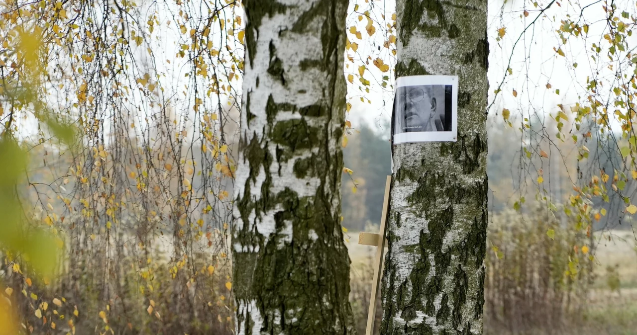 Miejsce śmierci i pochówku Jolanty Brzeskiej w Parku Kultury w Powsinie