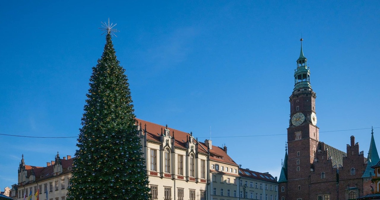 Wrocław, wyda, choinkę, fortunę, 24metrowe, sztuczne, drzewko, stoi, rynku, pieniądze, jakie, znikną, budżetu, miasta, zbliżają, Bajońskie sumy za miejskie choinki. Kwoty liczone w milionach