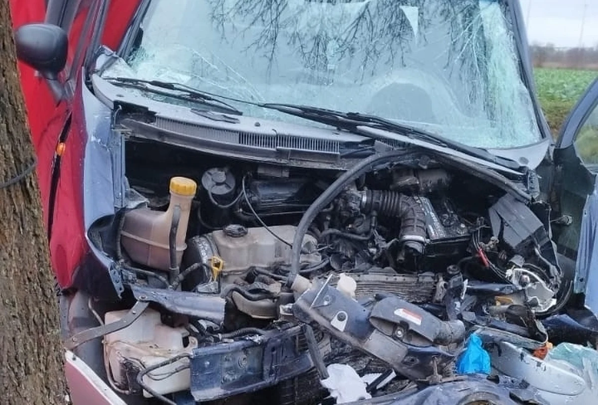 Do tragicznego wypadku doszło w czwartek około godz. 9 rano na drodze wojewódzkiej 190 w miejscowości Oporzyn (Wielkopolskie). Kierowca daewoo matiz wpadł w drzewo, 76-letnia pasażerka zginęła. 
