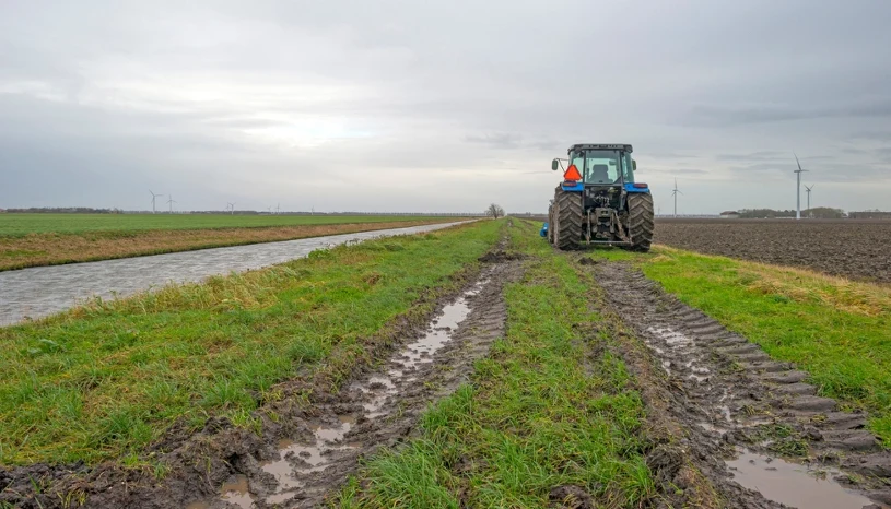 Przyspieszają wypłaty dla rolników. Priorytet dla jednej grupy