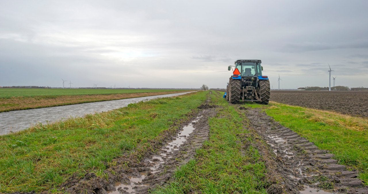 Przyspieszają wypłaty dla rolników. Priorytet dla jednej grupy