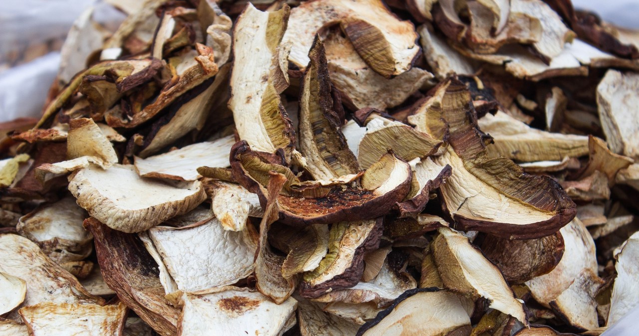 Suszone grzyby pleśnieją? To znak, iż popełniasz ten błąd