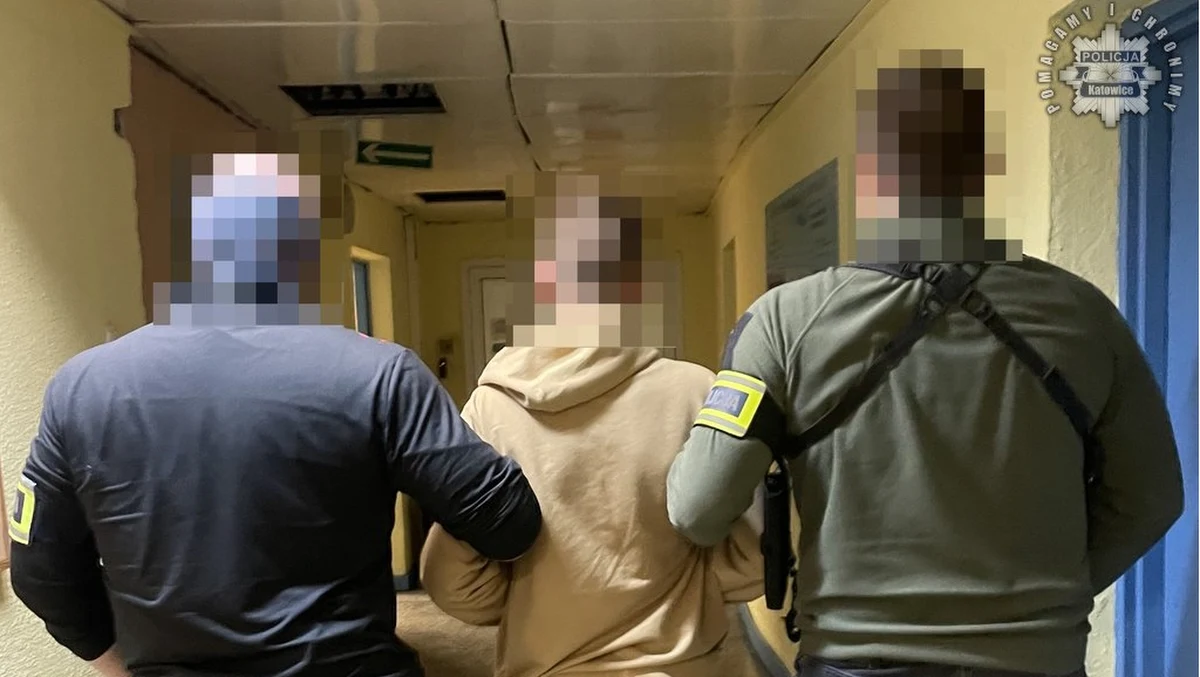 Mężczyzna, który rzucił koktajlem Mołotowa w budynek Prokuratury Rejonowej w Katowicach, usłyszał zarzuty. Napastnika zatrzymano w czwartek.