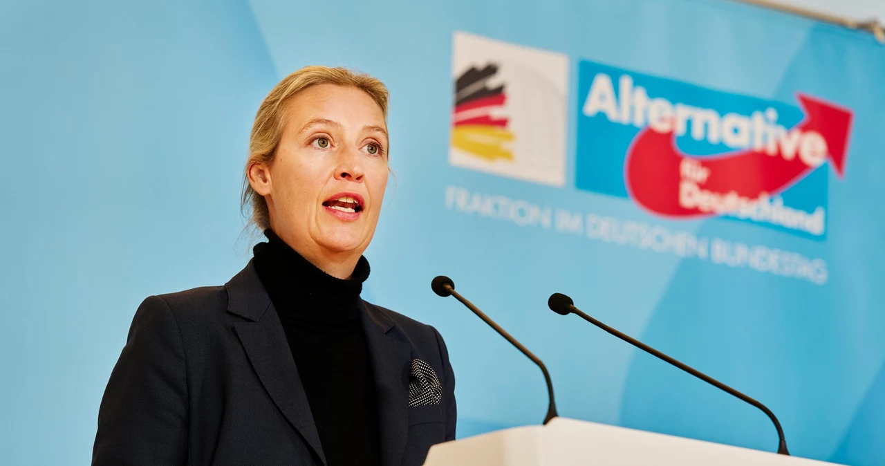 Współprzewodnicząca AfD Alice Weidel