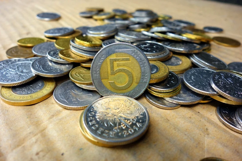 Nowa 5-złotówka już w obiegu. Sprawdź, jak wygląda