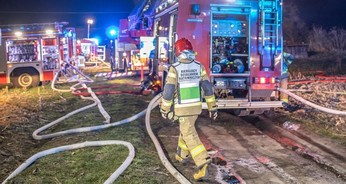 W nocy z niedzieli na poniedziałek doszło do pożaru Biedronki w Płońsku na Mazowszu. W akcji gaśniczej brało udział ok. 100 strażaków. Sytuacja została już opanowana.