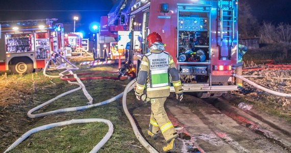 W nocy z niedzieli na poniedziałek doszło do pożaru Biedronki w Płońsku na Mazowszu. W akcji gaśniczej brało udział ok. 100 strażaków. Sytuacja została już opanowana.