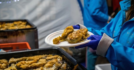 W poniedziałek o godz. 16.00 przy Nowohuckim Centrum Kultury krakowianie będą mogli skosztować tradycyjnego karpia. Smażona ryba w towarzystwie wegetariańskiej kapusty z grochem i pieczywa to poczęstunek od miasta oraz Joanny i Bartłomieja Szczoczarzów z Gospodarstwa Rybackiego Dolina Będkowska. Przedświąteczny poczęstunek odbędzie się nie tylko 2, ale też 4, 6, 9, 11 i 13 grudnia. 