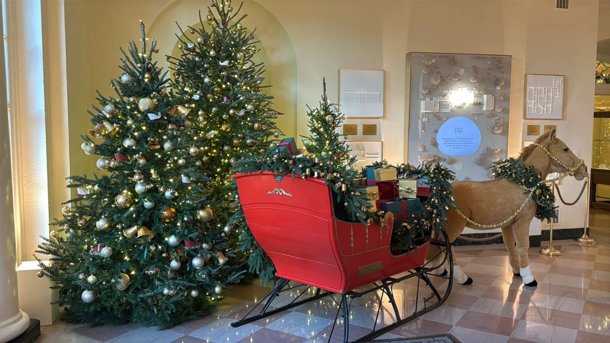 Biały Dom zaprezentował dekoracje świąteczne. Tegoroczny motyw przewodni to sezon pokoju i światła - informuje korespondent RMF FM Paweł Żuchowski, który znalazł się w grupie dziennikarzy uczestniczących w ceremonii prezentacji dekoracji. 