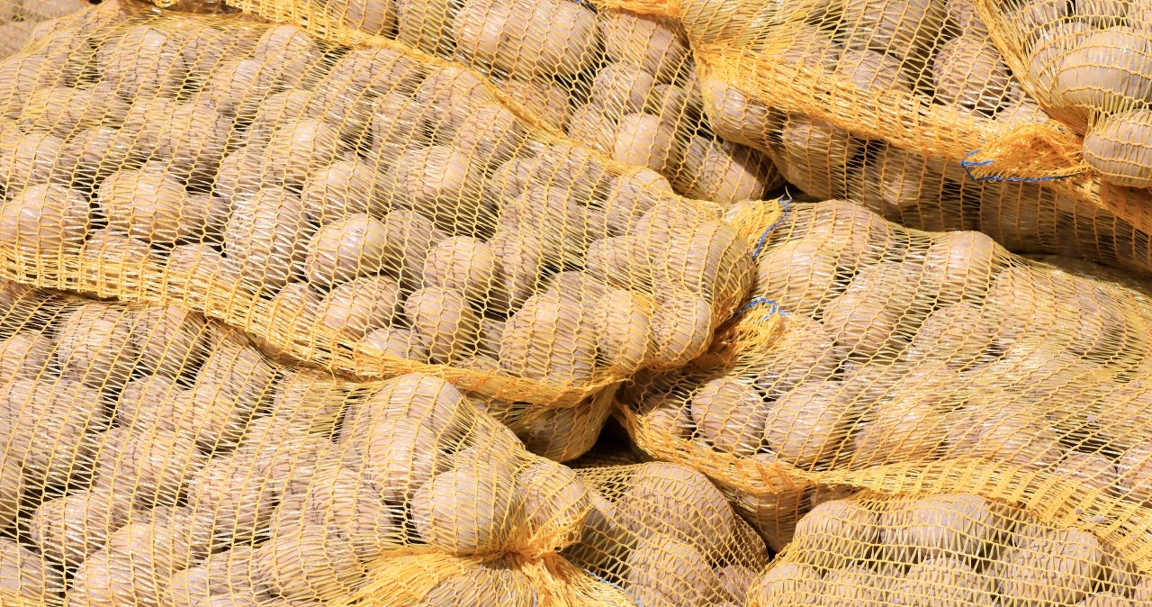 Polskim rolnikom grozi bankructwo. "Ceny 71,5 proc. niższe niż rok wcześniej"